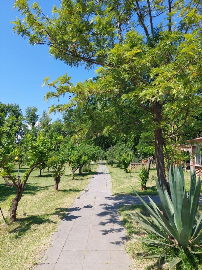 טראפיטלו Villa Piersepp B&B מראה חיצוני תמונה