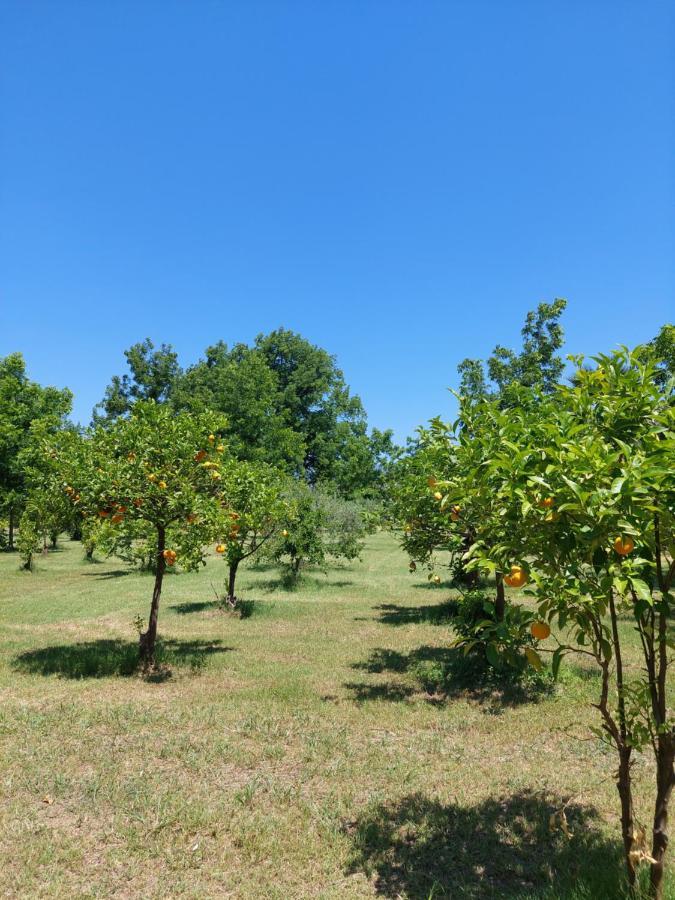 טראפיטלו Villa Piersepp B&B מראה חיצוני תמונה